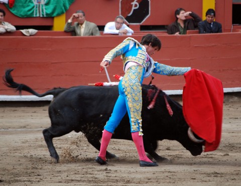 02-bullfight_in_Peru.jpg