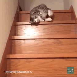 downdowndown4.gif